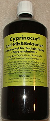 Cyprinocur Anti-Pilz und Bakterien 1 Liter von Cyprinocur