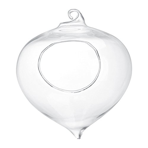 Cyrank Hängender Blumentopf aus Glas, tropfenförmiger hängender Blumentopf Luftblumentöpfe Terrarienvase für Büro, Haus, Garten von Cyrank