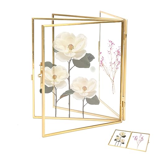 Rahmen Für Blumenpressen, Pflanze Probe Clip Rahmen Für Gepresste Blumen Pflanze Probe Clip Doppelter Glasrahmen Für Gepresste Blumen Pflanzenprobenhalter Gold Geometrische Ornament Bilderrahmen von Cyrank