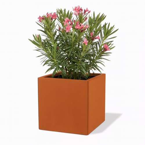 Czaja Cortenstahl Pflanzkübel 50x50x50 cm Fiorella- Made in Germany - Rost Deko Blumenkübel quadratisch – wetterfest & langlebig – Garten Terrasse Balkon – Edelrost Pflanzgefäß eckig für außen von Czaja