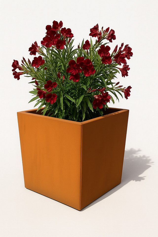 Czaja Pflanzkübel Pflanzkübel 40x40 cm aus Cortenstahl - Blumenkübel aus Metall von Czaja