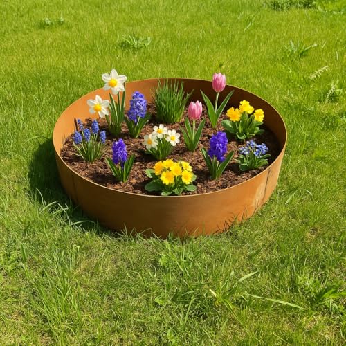 Czaja Pflanzringe 2 Stück Ø 80 x 30 cm Hoch Edelrost - Metallring Hochbeet Rost Pflanzgefäß Pflanzkübel Metallring Kräuterbeet Stahlring Stahl Ring von Czaja