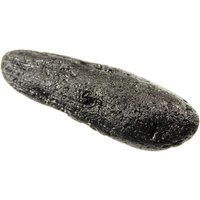 Tektit | Indochinit, Distrikt Lục Yên, Provinz Yen Bai, Vietnam, 33, 79 G, 67x22x21 Mm | Code 33/37 von CzechTearsFromHeaven