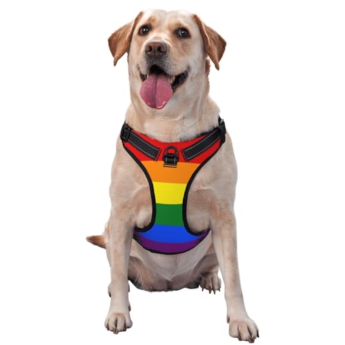 Atmungsaktives und verstellbares Hundegeschirr mit Leine, buntes einfaches Regenbogen-Hundegeschirr für große, mittelgroße und kleine Hunde von CZZYH