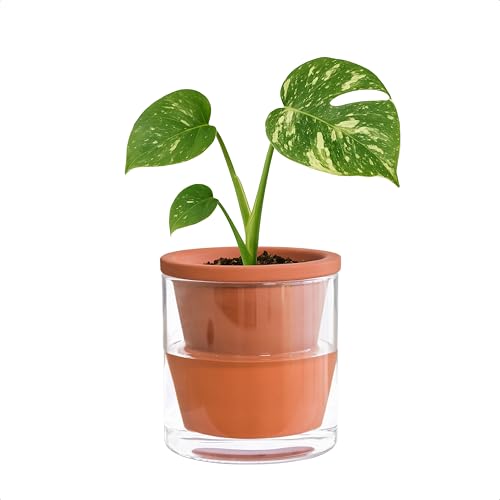 D'vine Dev 4 Zoll Design Selbstbewässernder Topf für Zimmerpflanzen, Terrakotta-Übertopf mit Zylinderglasbecher, 1er Set, 372-A-1 von D'vine Dev