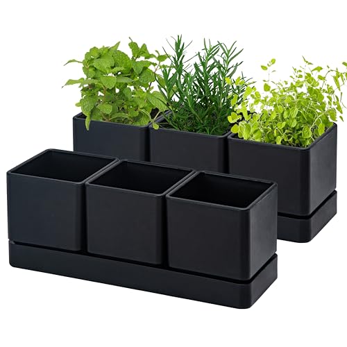 D'vine Dev Kräutergarten Pflanzgefäß Set, Kunststoff Pflanztöpfe mit Drainage und Untersetzer, Indoor Sukkulenten Kaktus Gemüsetopf für Fensterbank, Garten Balkon, Schwarz, 2er Set, 76-V-B-2 von D'vine Dev