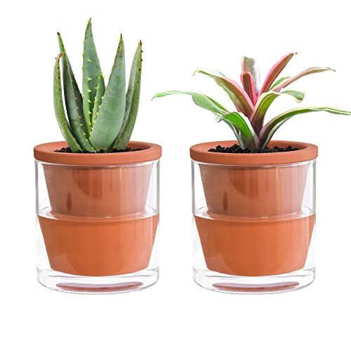 Selbstbewässernder Topf für Zimmerpflanzen, 10,2 cm, klein, Terrakotta-Übertopf mit Zylinderglas-Tasse, 2 Stück, 372-A-2 von D'vine Dev