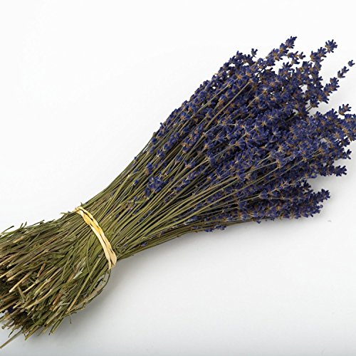 Lavendel-Strauß mit 250 Stängeln getrockneten Blumen, 30 cm, Hochzeitsdekoration., violett, 5 Bunches von +d