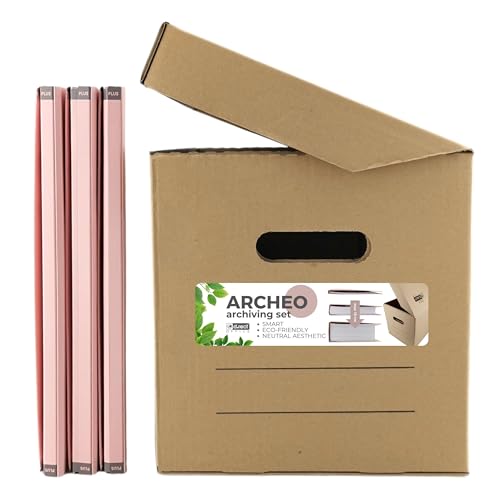 D.RECT - Archivbox ARCHEO Set Lagerbox 250x340x260 mm Klappdeckelbox Archivschachtel Aktenkarton mit 3 pastellfarbene Zero Max Ordner Rosa von D.RECT