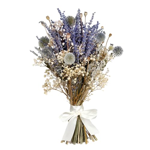 Atemblume des Getrockneten Babys 17 7 Zoll Natürliche Trockene Lavendelblume Für Vase Arrangements Home Dekoration Hochzeitsfeier von DABAIXIONG