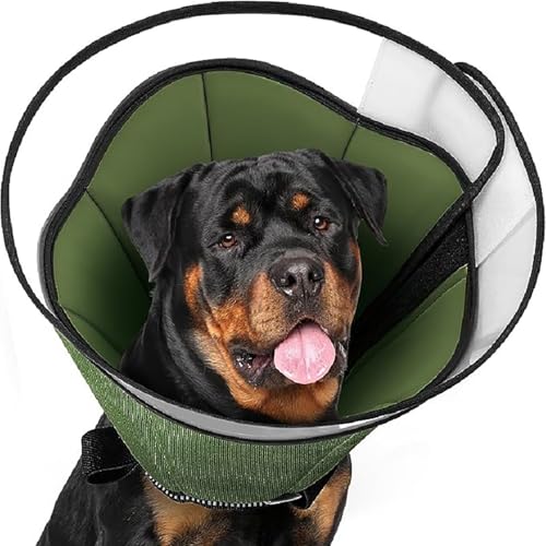 DABAIXIONG Atmungsaktive Meshes Hundekragen Secure Pet Operationen Recovery Accessoire Post Operativ Schutz von DABAIXIONG