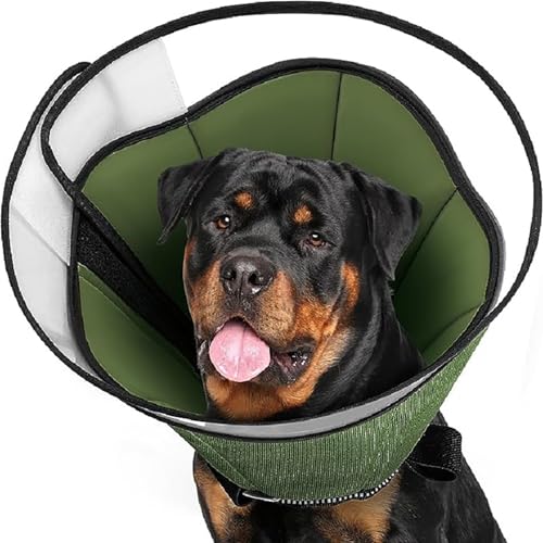DABAIXIONG Atmungsaktive Meshes Hundekragen Secure Pet Operationen Recovery Accessoire Post Operativ Schutz von DABAIXIONG