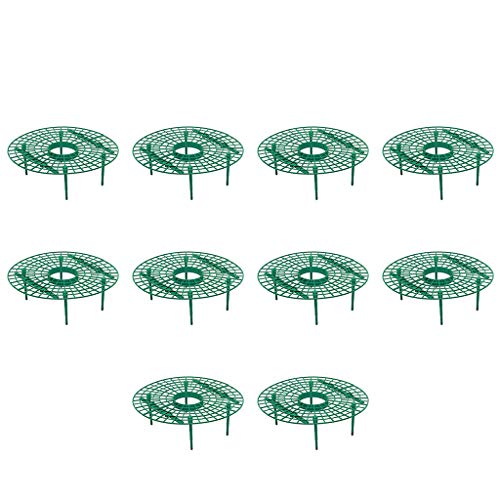 DABAIXIONG 10pcs Anlagen Plastikwerkzeug Erdbeer Wachstumskreis Unterstützte Rack Farming Verbesserung Der Ernterahmen Leicht Entfernbar DABAIXIONG 10pcs Anlagen Plastikwerkzeug Erdbeer Wachstumskreis Unterstützte Rack Farming Verbesserung Der Ernterahmen Leicht Entfernbar von DABAIXIONG