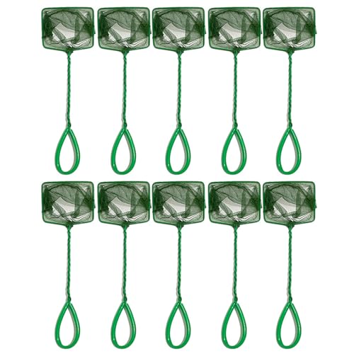 DABAIXIONG 10pcs Aquariums Fischnetz Schaufel Tool Für Sichere Fang Und Fischtankreinigung Mit Ergonomisch von DABAIXIONG