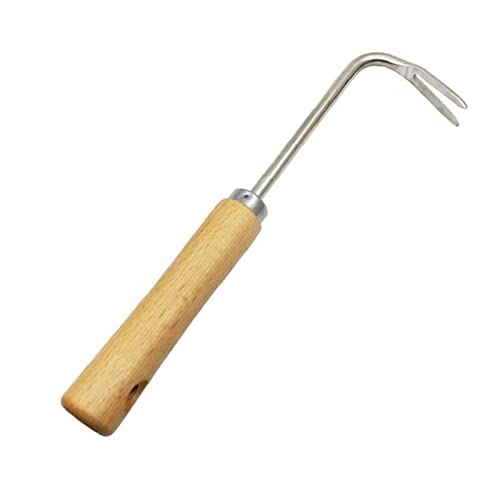 DABAIXIONG Edelstahl Garten Gras Hand Unkristiemerabsteiger Zauberer Puller Werkzeug Holzgriff Multifunktions Unkrauttransplantation Garten von DABAIXIONG