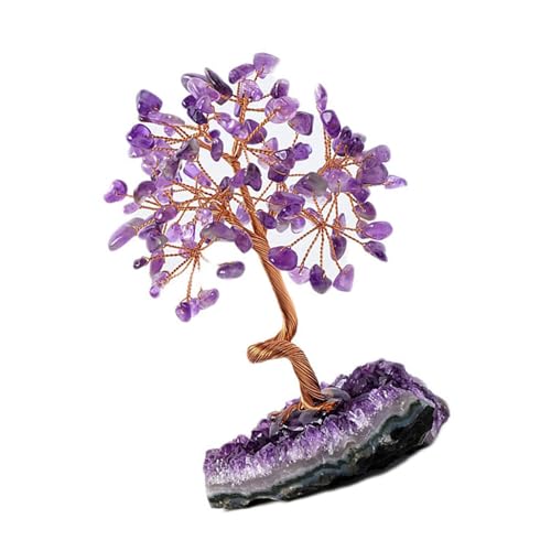 DABAIXIONG Fengshuis Crystal Bonais Money Tree Mit Amethysts Cluster Basis Für Wohlstand Und Wohlstand Home Office Desktop Decore DABAIXIONG Fengshuis Crystal Bonais Money Tree Mit Amethysts Cluster Basis Für Wohlstand Und Wohlstand Home Office Desktop Decore von DABAIXIONG