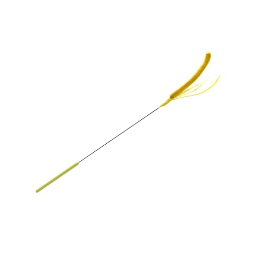 DABAIXIONG Setaria Gras Katze Necken Stange Zum Lustigen Interaktiven Spiel Kätzchen Zauberstab Spielzeugkapsel Fitness Fischerei Fischerei Übung Haustier Teaser Katzen DABAIXIONG Setaria Gras Katze Necken Stange Zum Lustigen Interaktiven Spiel Kätzchen Zauberstab Spielzeugkapsel Fitness Fischerei Fischerei Übung Haustier Teaser Katzen von DABAIXIONG
