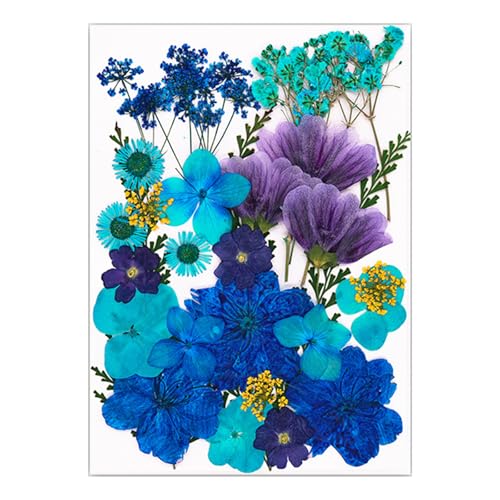 Gedrückte Getrocknete Für Harzformen Natürliche Gepresste Getrocknete Blütenblätter Für Scrapbooking Seifen Kerzenschmuck Machen von DABAIXIONG