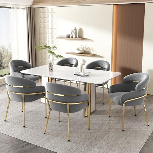 DACHETOU Esszimmerstuhl 6er Set Leichter Luxus Wohnzimmer Schlafzimmer Freizeitstuhl Vier Metallbeine Samt Grau von DACHETOU