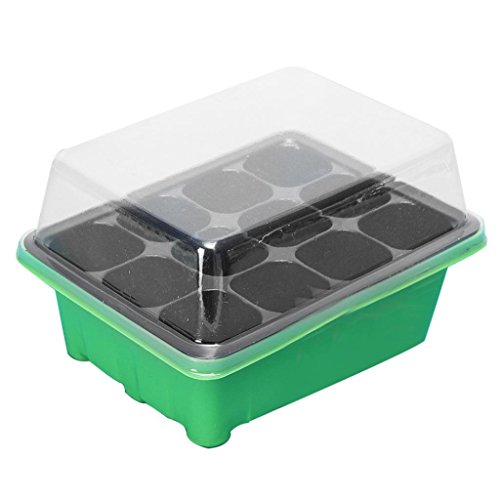 DAEDALUS® 12 Zellen Loch Pflanze Samen Anzucht Kindergarten Topf Aussaat Grow Box Tray, plastik, Grün/Schwarz, Einheitsgröße von DAEDALUS