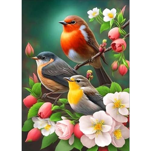 DAERLE DIY Diamond Painting Vögel mit Blumen, 5D Diamant Painting Bilder Tier, Diamant Malerei Cross Stitch Stickerei Kunsthandwerk Set für Erwachsene, Wanddekorationen für Zuhause 30x40cm von DAERLE