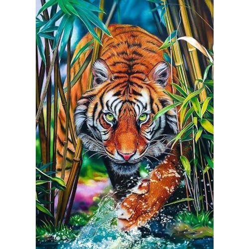 DAERLE Diamond Painting Tiger im Bambus, Diamond Painting Zubehör, 5D Diamond Painting Erwachsene, Diamond Painting Set Greifender Tiger Full Drill Geschenk für Home Wall Décor 30x40cm von DAERLE