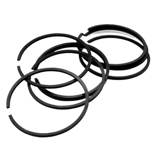 Kolbenringsegmente 44 mm 40 mm kompatibel mit Garten Elektrowerkzeugmotoren Passende Motoren 44-5 40-5 44F-5 40F-5(40-5) von DAFSXZQR