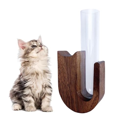 Cat Whisker Vase Petite Glass Cat Whisker Collector & Mini Decorative Vase, Wooden Cat Whisker Jar Fridge Magnet, Clear Glass Cat Whisker Vase, Pet Keepsake Box Sympathy Gift von DAGESVGI