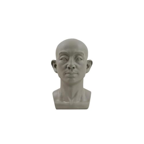 DAGESVGI Gips Portrait Lehrmittel Simulation Flach Skizze Pflaster Version Kopf Praktisches Werkzeug Lernen Portrait Mini C5B1 Harz von DAGESVGI