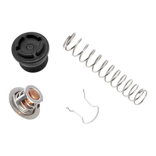 Thermoregler-Kit 77707-0010 Ersatz für Pentair Pool Spa Heizung von DAGIJIRD