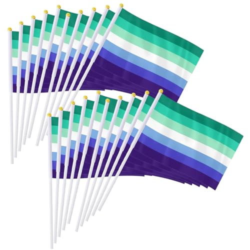 100 Stück kleine Pride-Flaggen auf Stäben, tragbare handgekurbelte Mini-Pride-Flaggen aus Polyester für Party-Dekorationsgeschenke im Freien, 5, 5 x 8, 3 Zoll große Mini-, Flagge von DAGLLGEW