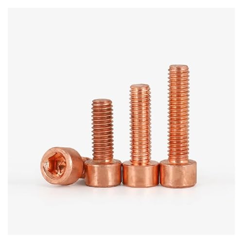 2-10 Stück M3 M4 M5 M6 M8 T2 Kupfer-Kappenkopf-Innensechskant-Zylinderkopf-Cup-Schraube(5 mm,M2.5 10pcs) von DAGROD