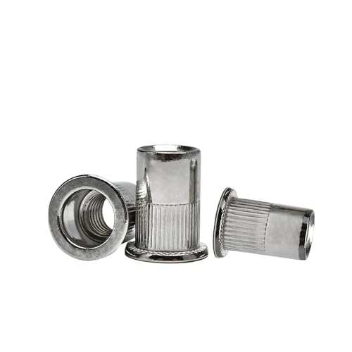 20–100 Stück M3 M4 M5 M6 M8 M10 Flachnietmuttern Metallplattenschlosseinsatz Aluminium Carbon/Edelstahl Nieten Muttern Metrisches Gewinde(Stainless Steel Set,M10 (20Pcs)) von DAGROD