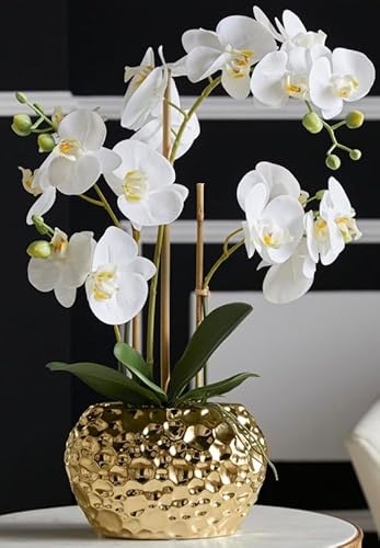 DAHLIASTUDIOS Kunstpflanze Orchidee Phalaenopsis mit Gold-farbigem Keramiktopf - ca. 53cm hoch (weiß) von DAHLIASTUDIOS