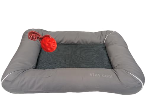 DAHLMANN Stay Cool Selbstkühlendes Hundebett Farbe: Lava Kühlmatte Hund Katze Haustiere Gr. L Maße: 76x53x7cm mit Wurfball DAHLMANN Stay Cool Selbstkühlendes Hundebett Farbe: Lava Kühlmatte Hund Katze Haustiere Gr. L Maße: 76x53x7cm mit Wurfball von DAHLMANN