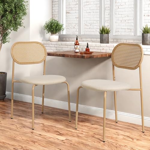 Esszimmerstühle 2er Set, Küchenstühle, Rattan Stuhl mit Rückenlehne, Vintage Akzentstühle aus Holz, Polsterstuhl Esszimmer, Mit Verstellbaren Füßen, für Esszimmer Küche Wohnzimmer, Natur von DAHUEN