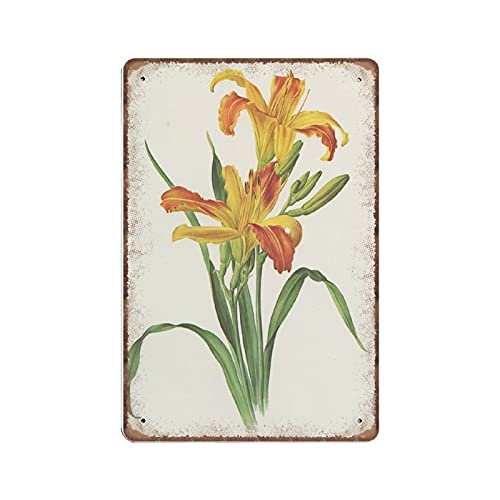 DAIERCY Blechschild mit gelbem Tagesilien-Motiv, Motiv: Botanische Blumen, Vintage-Lilien, 20 x 30 cm von DAIERCY