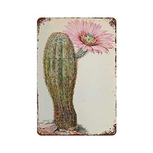 DAIERCY Kaktus Botanische Blühende Kakteen Geburtstag Ruhestand Geschenk 13 Retro Metall Blechschild Retro Wanddekoration Vintage Küche Backen Blechschild für Zuhause Wanddekoration Geschenke 20 x 30 von DAIERCY