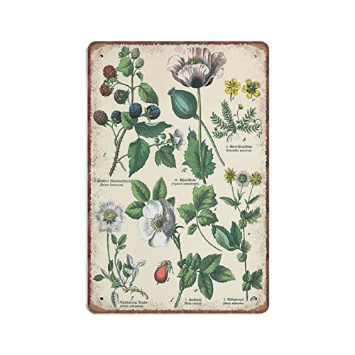 DAIERCY Lustiges Vintage-Schild, rote Mohnblume, botanische Wandkunst, Pflanze, Metall-Blechschilder für Küche, Garten, Garage, Badezimmer, Wanddekoration, 140 x 200 mm von DAIERCY