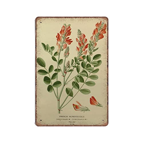 DAIERCY Metallschild Vintage Botanisch Französisch Geißblatt Botanisch Garten Blume Blechschilder Vintage Bar Mann Höhle Garage Küche Home Wandkunst Dekor 140x200mm von DAIERCY