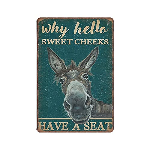 DAIERCY Retro Teal Why Hello Sweet Cheeks Esel Blechschilder, Liebe Esel Schild für Zuhause, Lustiges Vintage Metallschild Plaqu Poster Wandkunst Küche Garten Badezimmer Dekor, 140 x 200 mm von DAIERCY