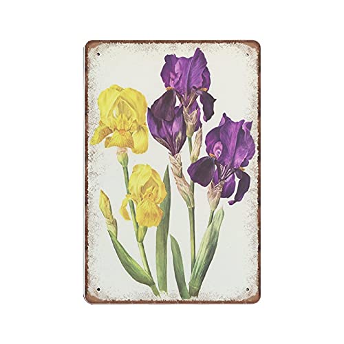 DAIERCY Violette und gelbe Iris Botanical Blechschilder aus dem Jahr 1964, Vintage Iris Botanische Kunst für französische Landdekoration, lustiges Vintage-Metallschild, Plakette, Poster, Wandkunst, von DAIERCY