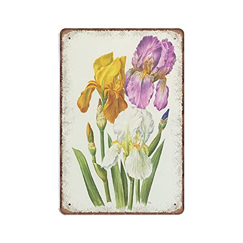 Gelbe Iris Blechschilder – 1964 Vintage Botanische Kunst – Lila Iris Blume Wanddekoration – Weiß Shabby Chic – Französische Geschenke Lustiges Metallschild Poster Wand Küche Garten Badezimmer Home von DAIERCY