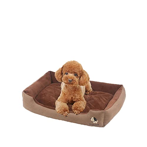 DAIHAN Plüsch Hundebett für Kleine Mittelgroße Hunde Hundesofa Waschbares Weiches Hundekorb Hundekörbchen mit Rutschfestem Kissen Haustierbett,Kaffee,S(45x32x12cm) von DAIHAN