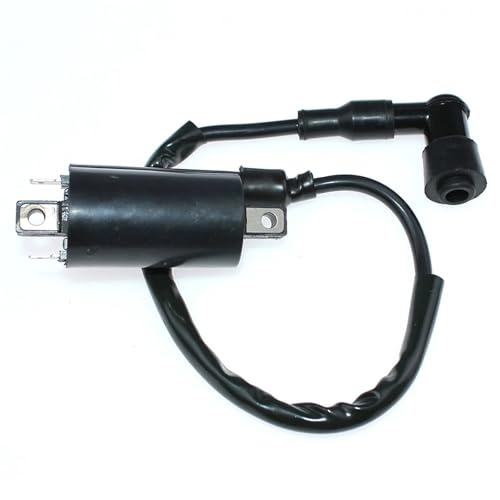 Zündspule Modul for Kawasaki FD440V FD501D FD501V FD590V FD611V FD620D FD661D 21121-2083 21121-2076 von DAIHAOEE