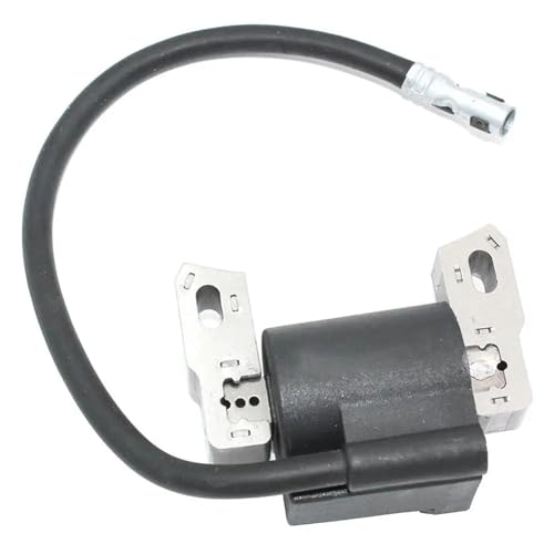 Zündspule for Bri-ggs und Stratton 123K09 123K12 124H02 124H82 124K02 124L02 124T02 124T05 124T07 124T12 125H02 125H07 125H82 von DAIHAOEE