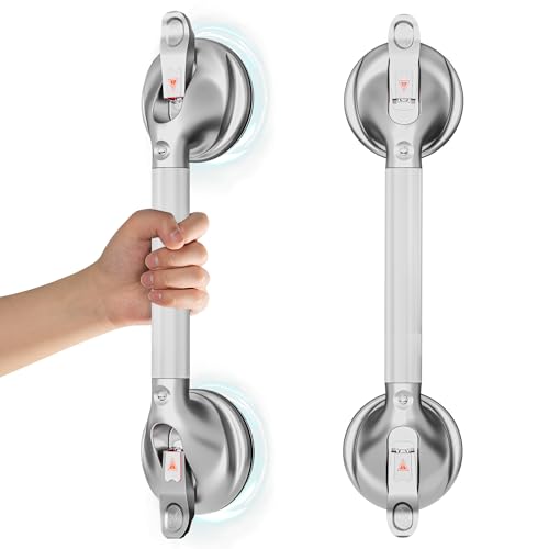 DAILYLIFE Haltegriffe für Badewannen und Duschen, 48,3 cm, Duschgriffe für ältere Menschen, 136 kg, Sicherheits-Dusch-Haltegriff für Senioren und ältere Menschen, Silber, 2 Stück von DAILYLIFE