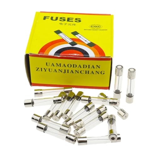 sicherungen 100 STÜCKE Flink Versicherung Rohr 6 * 30 MM GLAS Flink SICHERUNG 6 * 30 MM 1A 2A 3A 4A 5A 6A 7A 8A 10A 15A 20A(2A) von DAISHUJIE