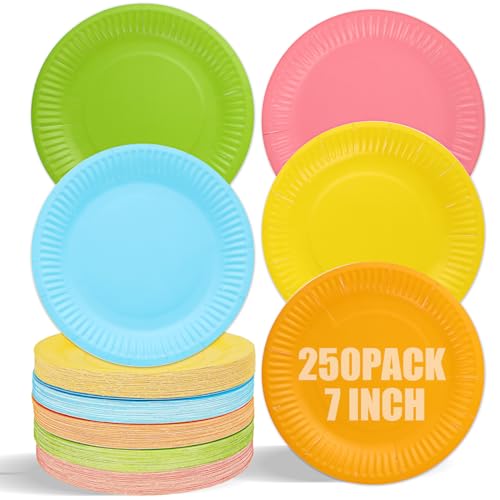 DAJAVE 250 Stück DIY Pappteller Bunt, Party Pappteller Bunt Rund Teller, bunt pappteller Kindergeburtstag für Feste und Feiern wie Geburtstag oder Grillabend DIY Malerei von DAJAVE