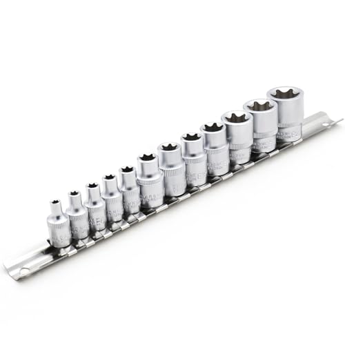 DAKCOS 12-tlg. Außen Torx Steckschlüssel Satz 1/4" und 3/8" Torxschlüssel Nuss Set Stecknüsse E4, E5, E6, E7, E8, E10, E11, E12, E14, E16, E18, E20 aus CR-V mit mattierter Chromoberfläche von DAKCOS